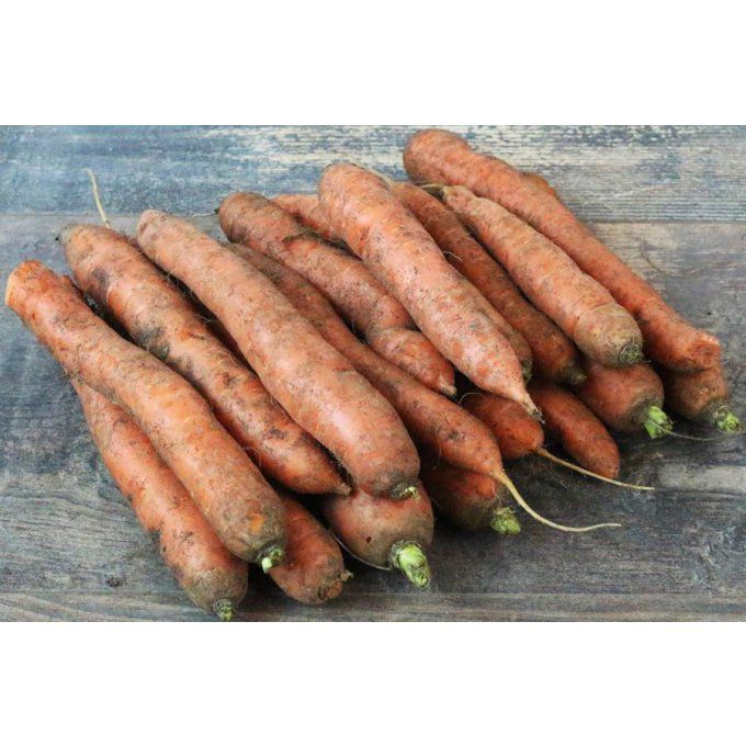 Carotte 500gr