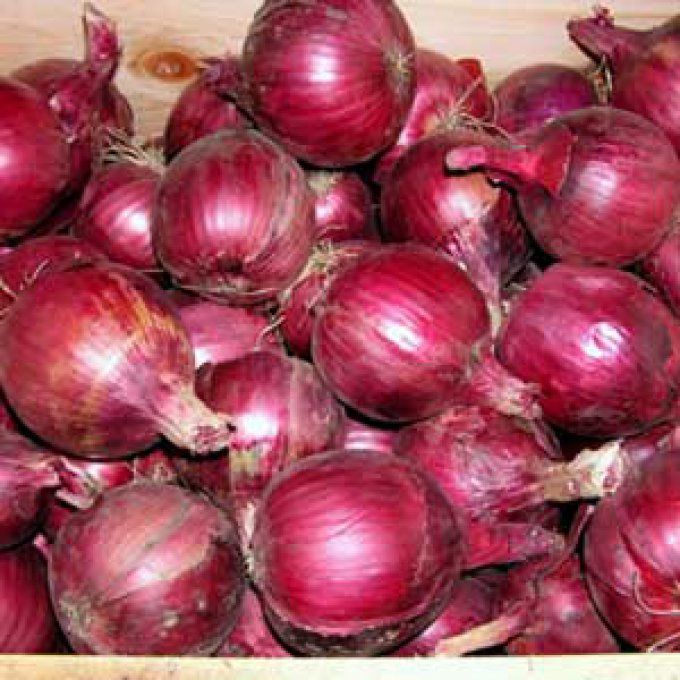 Oignons rouges 500gr