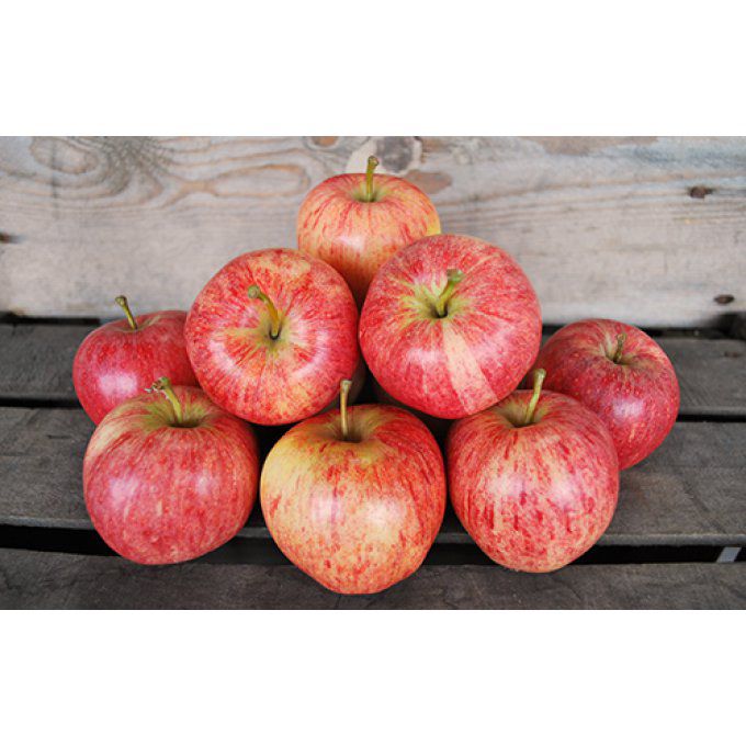 Pomme Juliet 1kg